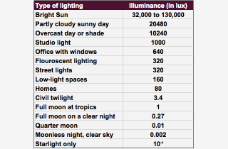 Illustration for article titled Why We Need To Sleep In Total Darkness